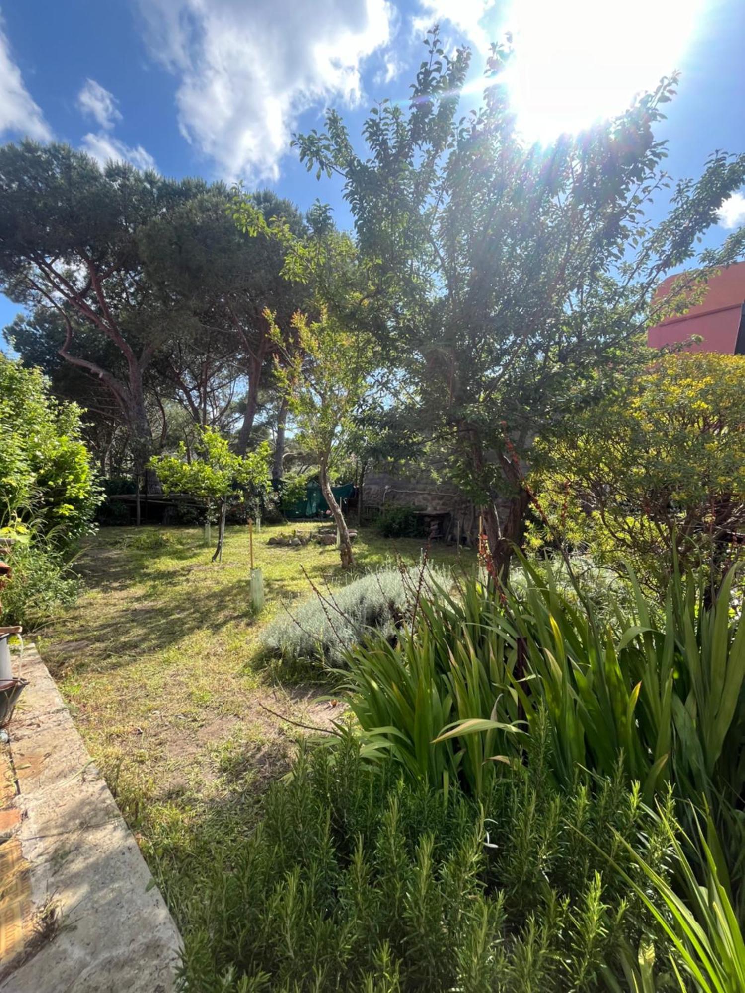 Casa Vista Castello Villa Капрая Екстериор снимка