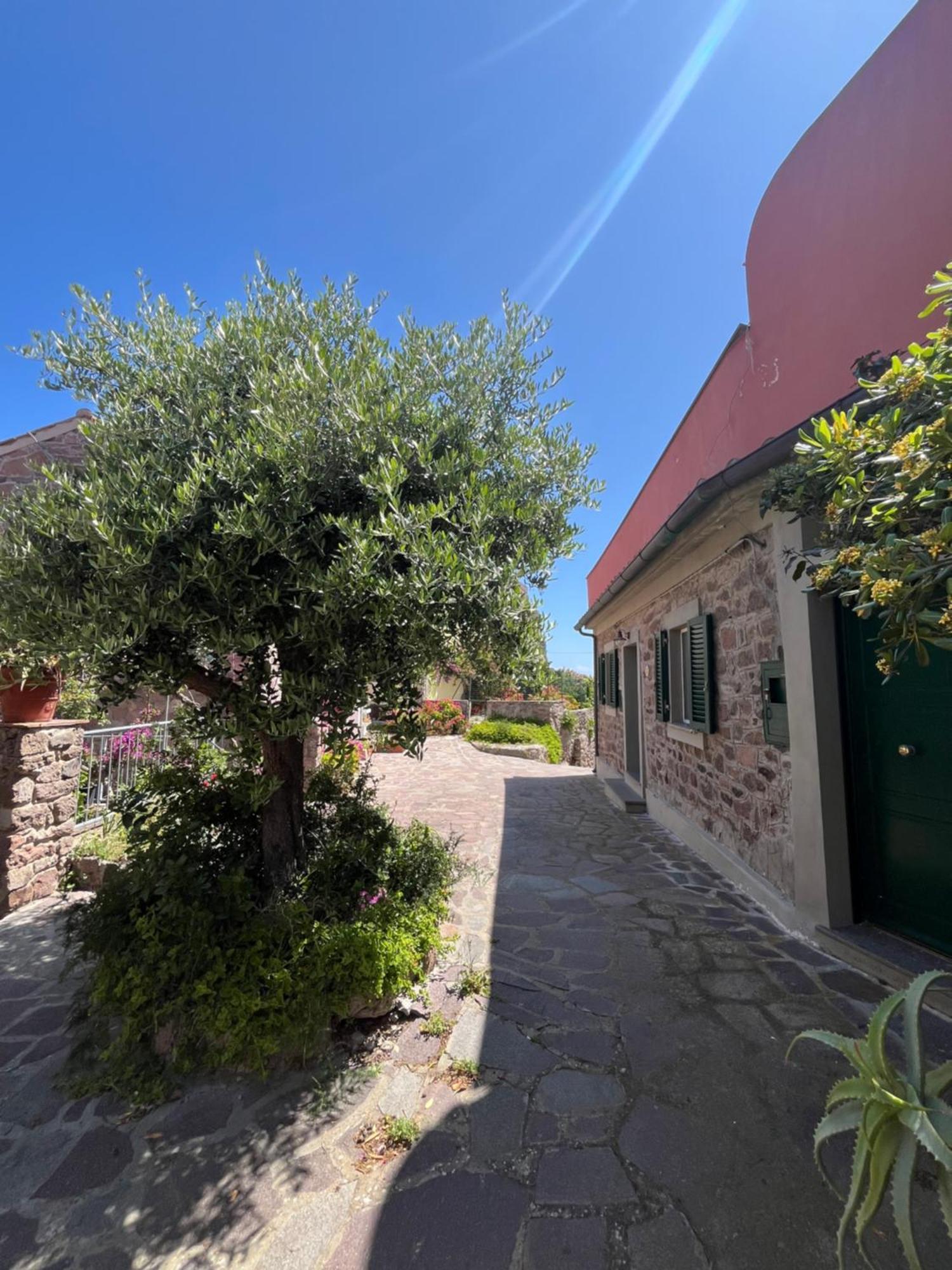 Casa Vista Castello Villa Капрая Екстериор снимка